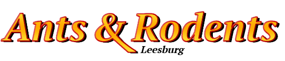 Leesburg Ant Exterminator & Rodent Control Company Logo
